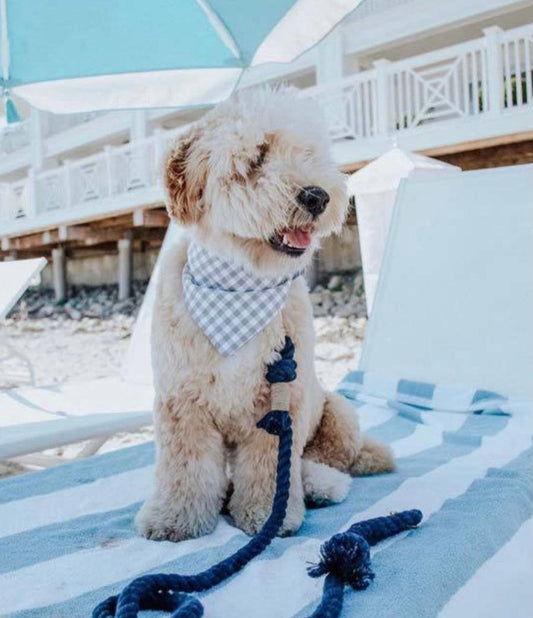 ROPE LEASH - MYSTICAL FAIRYTALE