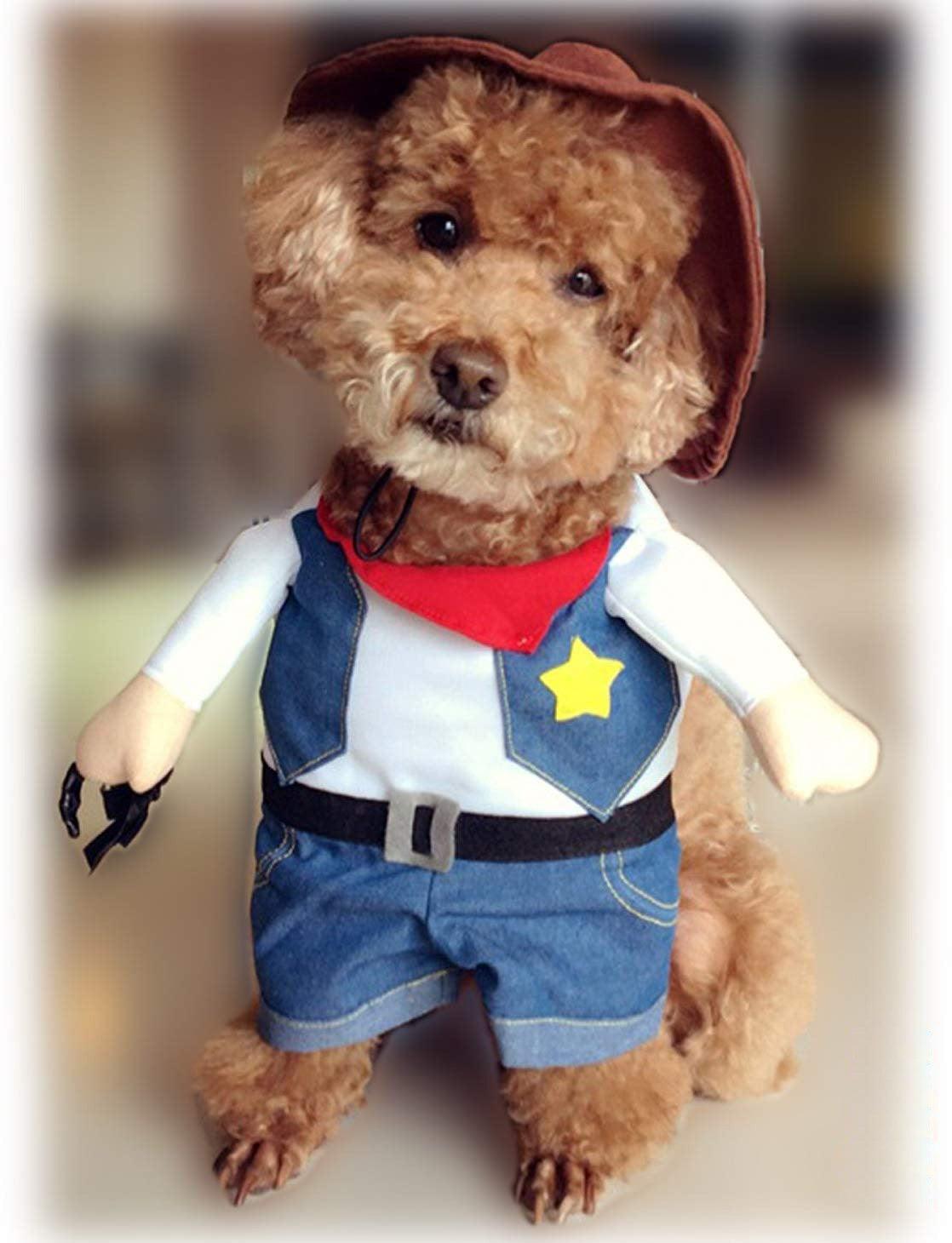 Denim Cowboy Pet Costume