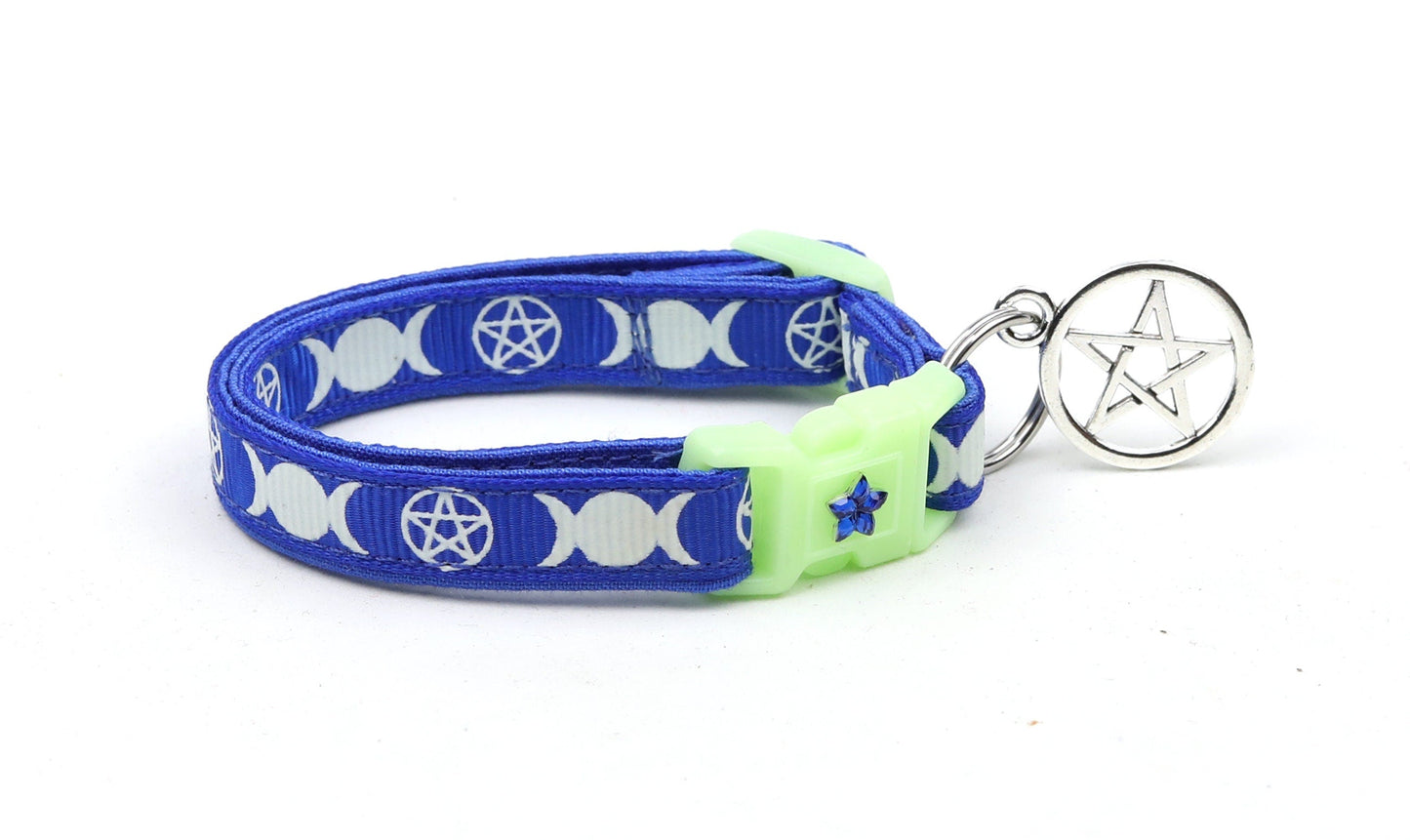 Witch's Familiar on Royal Blue Cat Collar