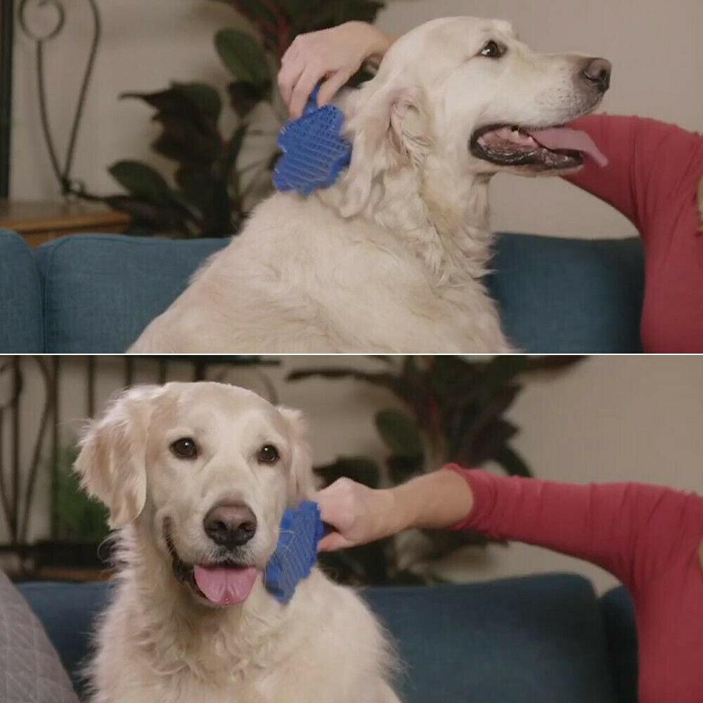 Gentlegroom Pet Hair Detangler & Shampoo Dispenser Brush