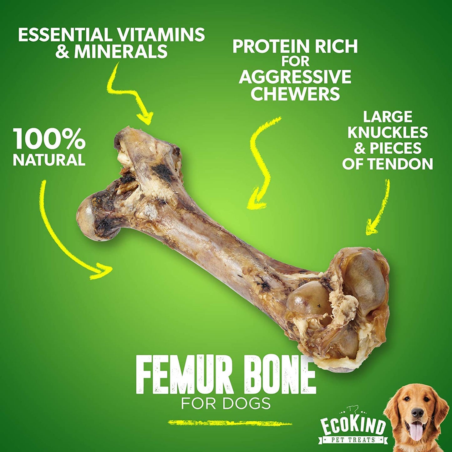 Giant Dog Bone - Grass-Fed Beef Femur Bone for Large Dogs