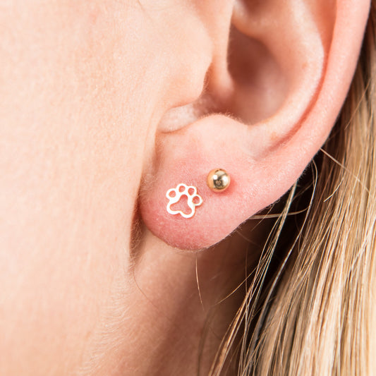 Dog Paw Studs